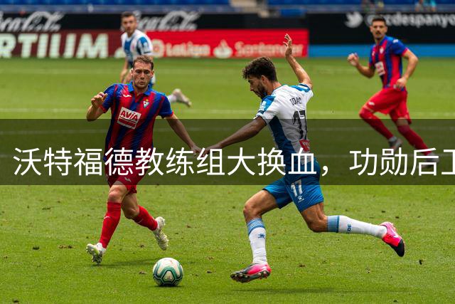 沃特福德教练组大换血，功勋后卫马里亚帕重返一线队
