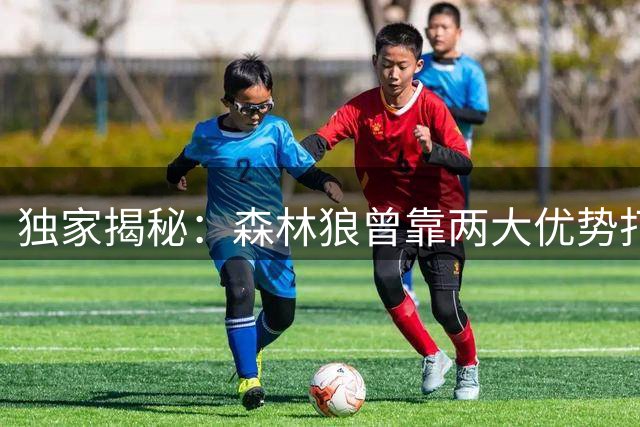独家揭秘：森林狼曾靠两大优势打动詹姆斯 爱德华兹亲自招募功亏一篑
