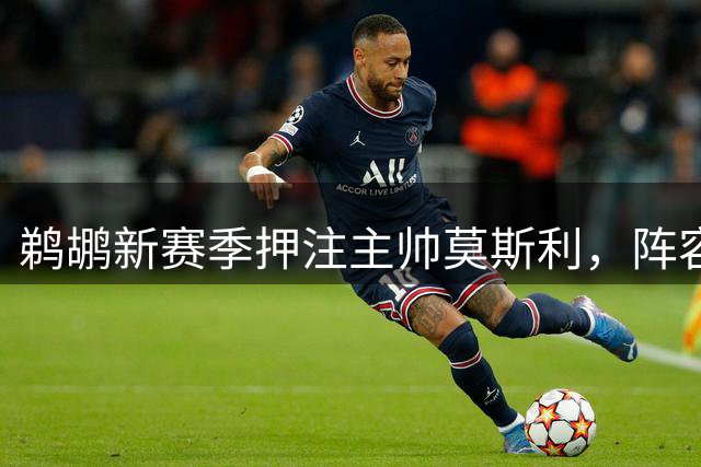 鹈鹕新赛季押注主帅莫斯利，阵容稳定战绩待突破